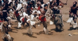 Zulus